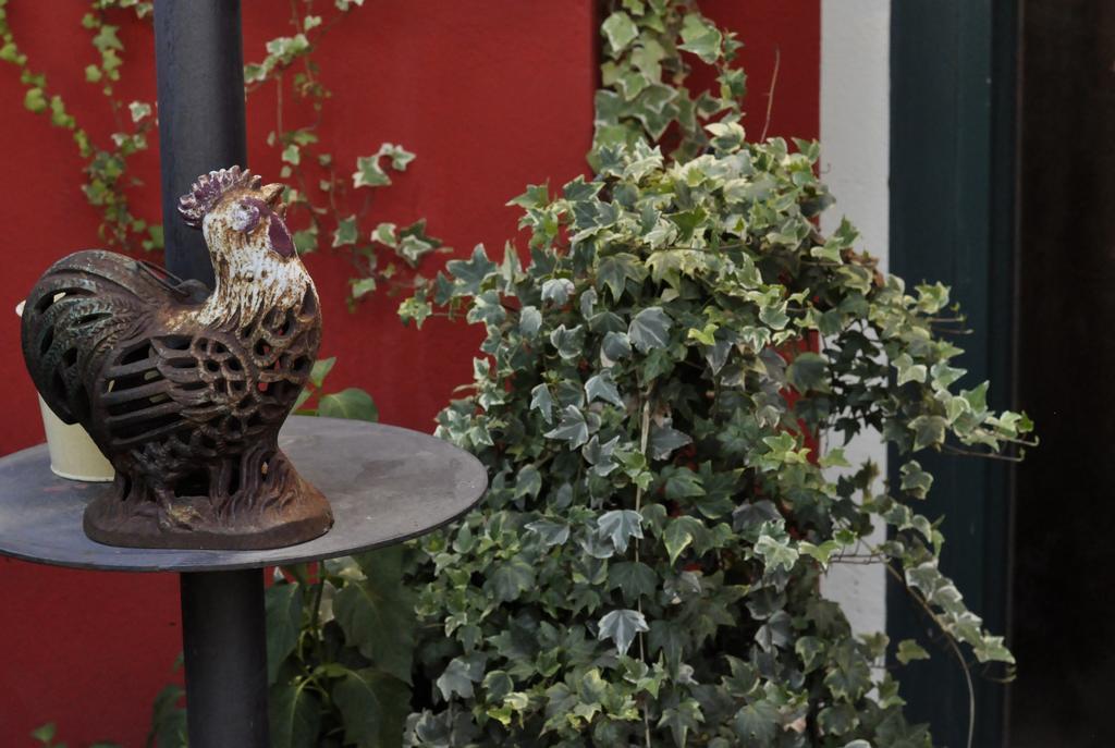 B&B Edera Castagnole Piemonte Exterior foto
